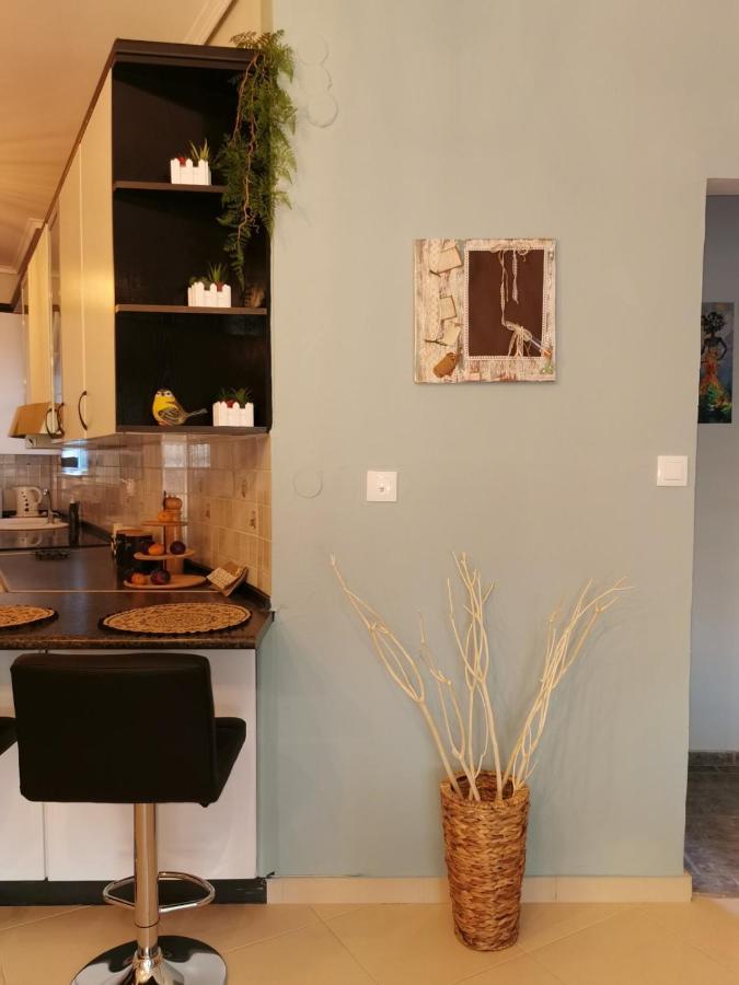 Theia Analipsi Central Apartment Катерини Екстериор снимка