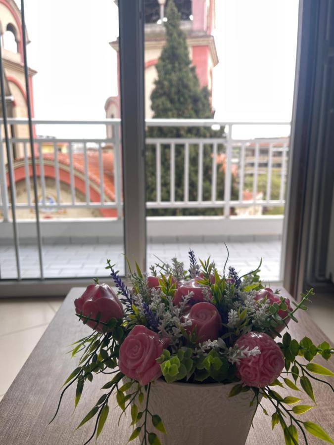 Theia Analipsi Central Apartment Катерини Екстериор снимка